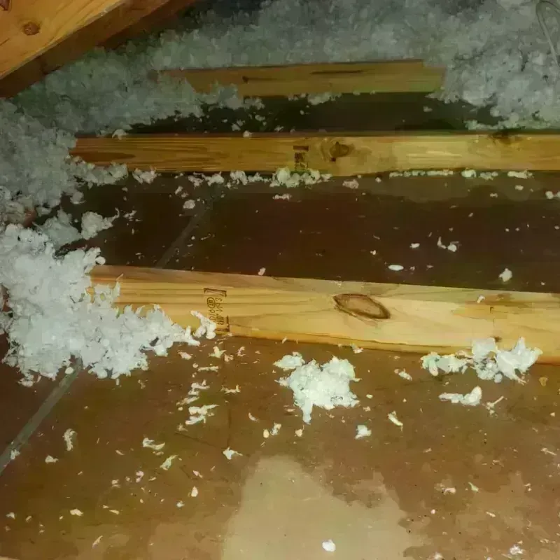 Attic Water Damage in Lexington, MI