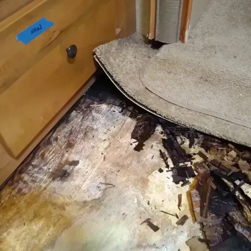 Wood Floor Water Damage in Lexington, MI